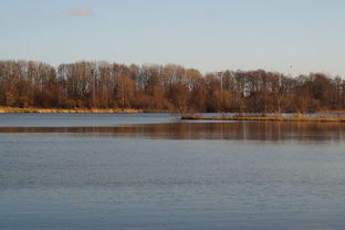 星空体育最新下载-“东安湖体育公园迎来跑酷明星,挑战全新极限” 第2张